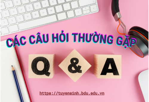 CAC CAU HOI THUONG GAP1
